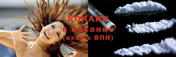 PSILOCYBIN Алзамай